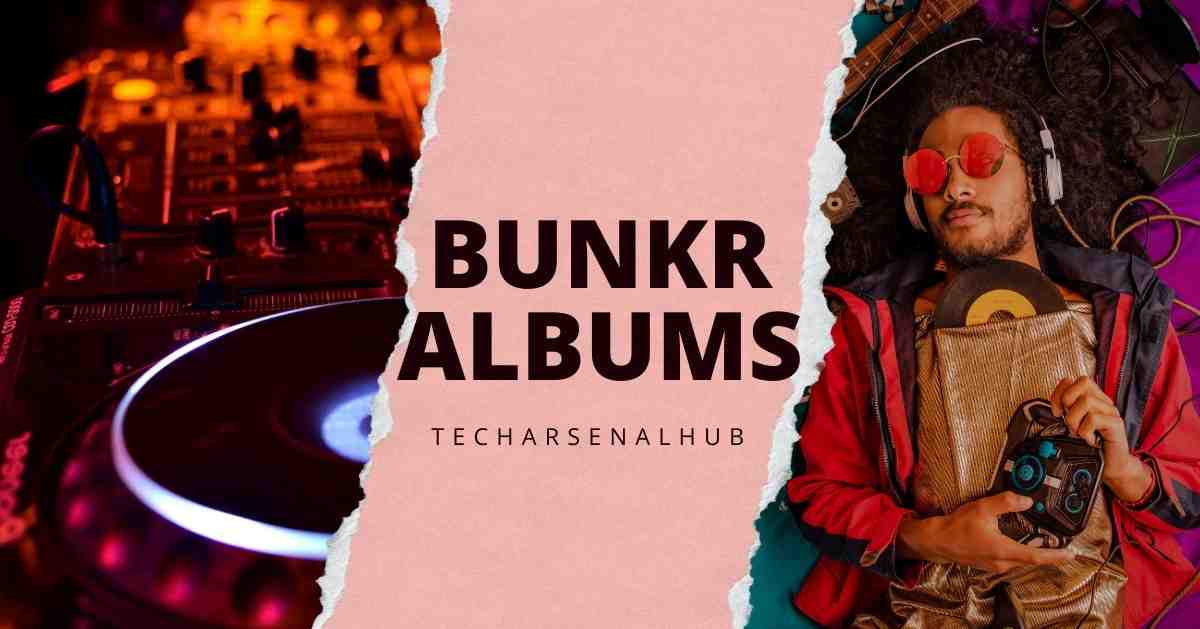 Bunkr Albums: A Platform for Digital Content Storage and Sharing